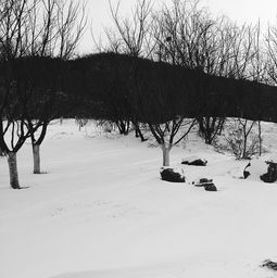 梦到下黑色的雪是什么,梦见黑色雪的预兆