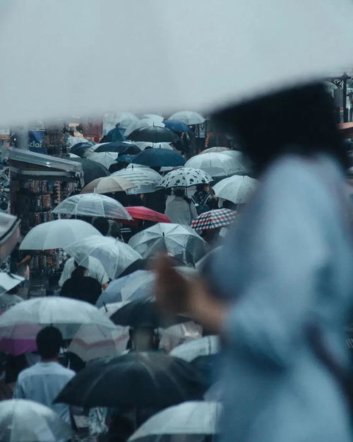 梦到下雨打伞有什么征兆,梦到下雨打伞是什么意思