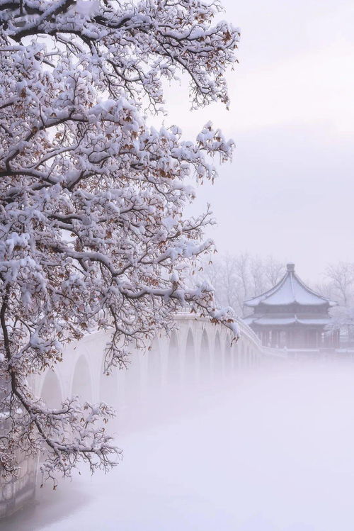 梦到下雨雪好吗什么意思,梦见下雨下雪