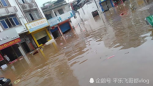 梦到下雨涨水是什么预兆,梦见下雨涨水的预兆