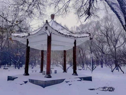 梦到下雪救小孩什么预兆,梦见雪里面抱出个小孩的预兆