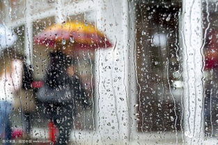 梦到下蒙蒙雨是什么意思,梦见下雨意思是什么