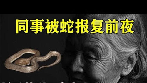 梦到一个奇点代表什么,奇点是什么意思