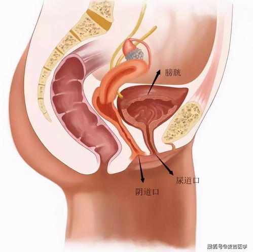 梦到下身流血是什么意思,梦见自己下身出血什么意思？