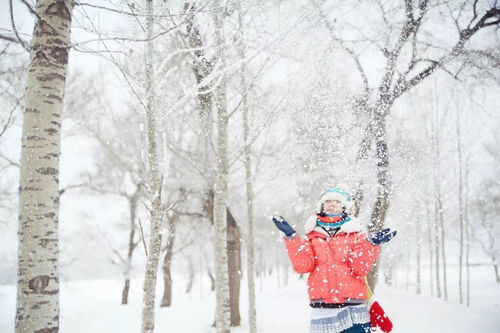 梦到下雪冷是什么意思,梦见下大雪很冷的预兆