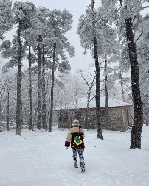 梦到下雪旅行什么预兆呢,梦见旅行遇到风雪的预兆