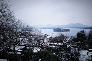 杭州夏天梦到雪景什么意思,梦见美丽的雪景的预兆