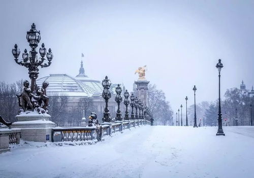 梦到下雪前行什么预兆呢,梦见下雪意味着啥的预兆