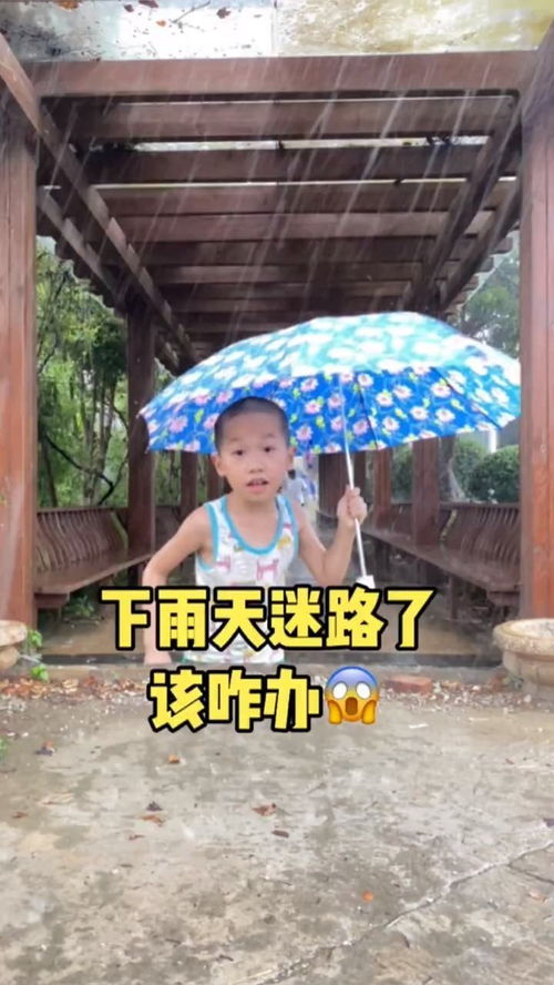 梦到下雨迷路意味着什么,梦见下雨天迷路的预兆