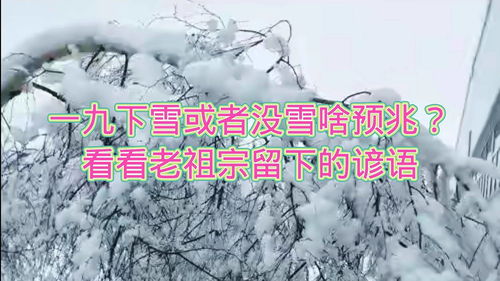 梦到下雪接吻什么预兆呢,梦见在大风雪中的预兆