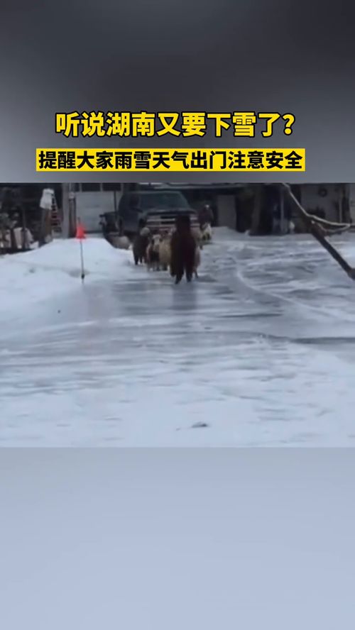 梦到下雨雪是什么意思,梦见下雨下雪