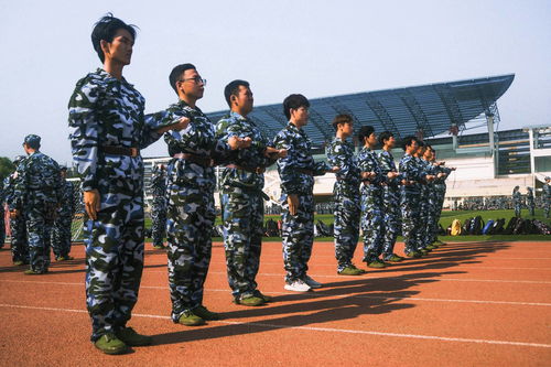 梦到军训吵架什么意思呀,梦到军训意味着什么