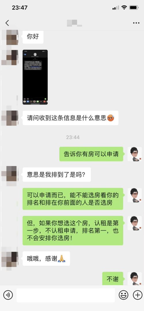 梦到住白鷄什么意思,梦见白鸡什么意思