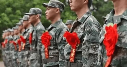 梦到儿子当兵受伤什么意思,梦见儿子在部队受伤我和老公一起去看他是什么意思？