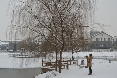 梦到了下雪是什么意思,梦到下雪了是什么意思