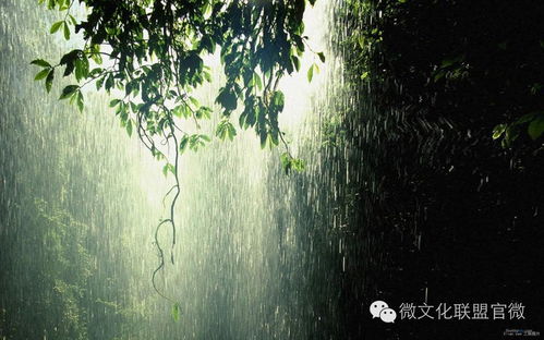 梦到了雨水代表什么预兆,做梦梦到下雨是什么征兆