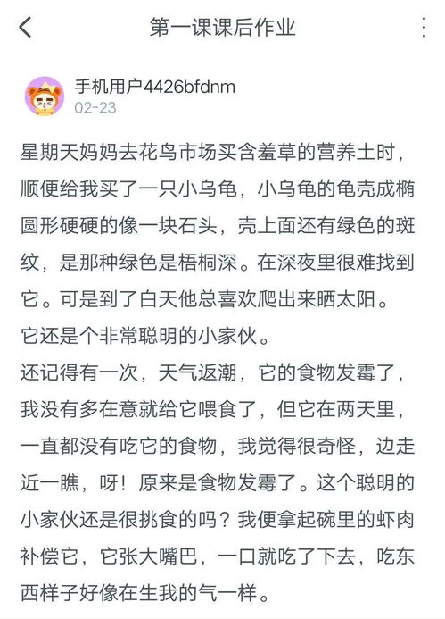 梦到写解释材料什么意思,梦见添写材料的预兆