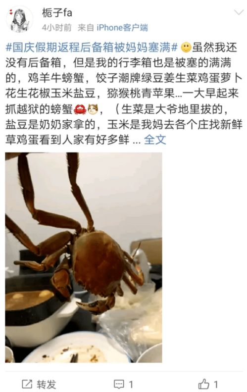 梦到兜里塞满现金什么意思,梦见口袋好多钱现金