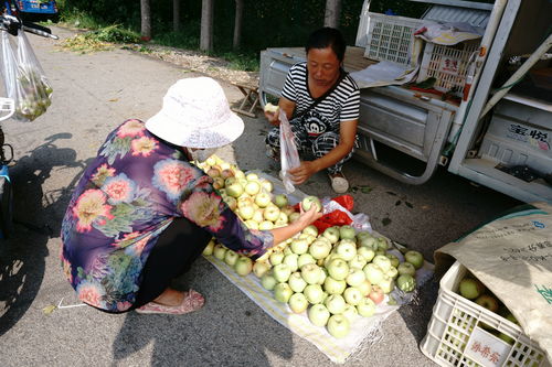 梦到买老人东西什么意思,周公解梦梦到自己向两位老人买东西