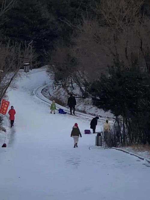 梦到了好多雪什么意思,梦见一堆雪的预兆