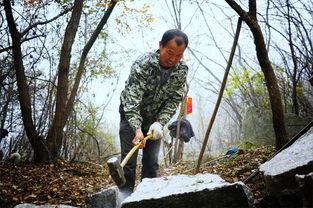 梦到修路开路大吉什么意思,梦见修路的路上开车的预兆