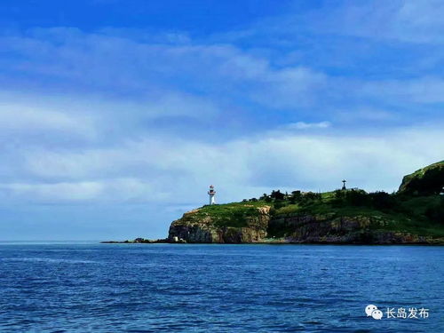 梦到乌龟海边旅游什么预兆,梦见海边乌龟的预兆