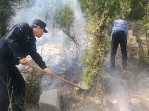 梦到别人上坟烧纸什么意思,梦见别人上坟烧纸