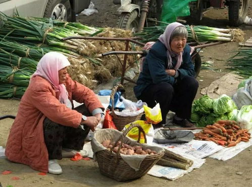 梦到农村赶集什么意思啊,梦见赶集预示着什么