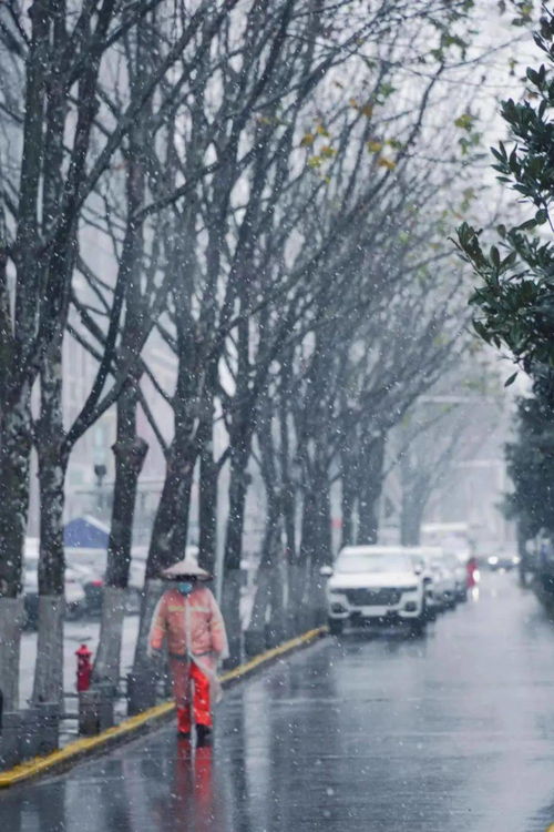 梦到了雪是什么意思,梦到下雪了是什么意思