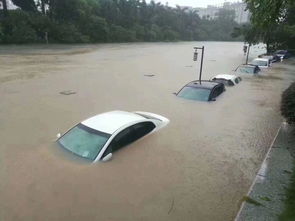 梦到公司被水淹什么预兆,梦见自己的公司被大雨淹没的预兆