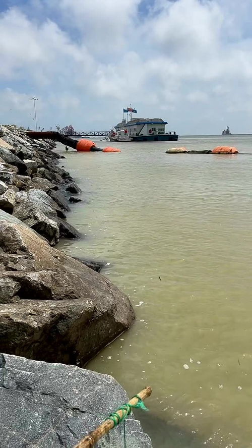 梦到了大海涨潮什么意思,梦见海水涨潮是什么意思