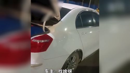 梦到偷开别人汽车什么意思,梦见偷偷开老板的车的预兆