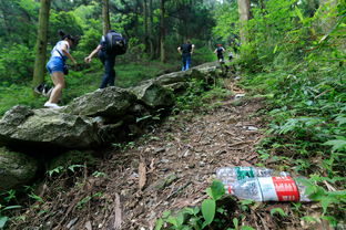 梦到冒雨爬山是什么意思,梦见下大雨爬山的预兆