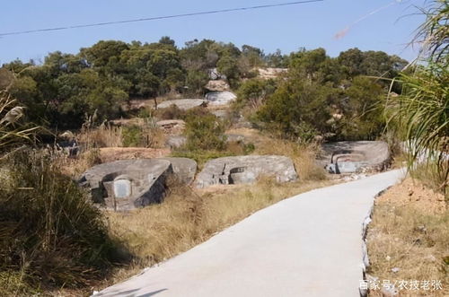 梦到农村土坟什么预兆,梦见土坟穴的预兆