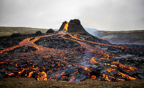 梦到乌龟火山喷发什么意思,女人做梦梦见乌龟喷火是什么兆头