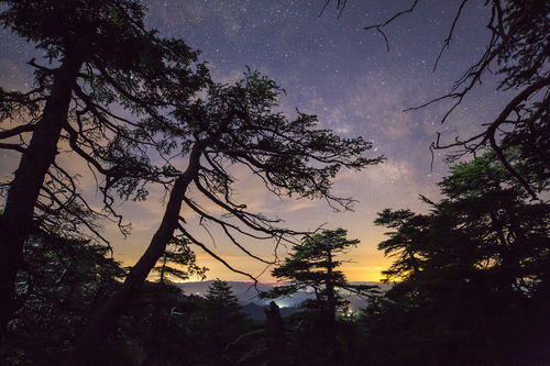 梦到仰望高山是什么意思,梦见抬头仰望巨高的山