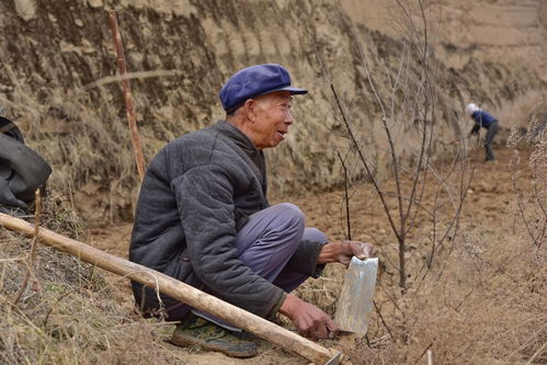 梦到农村邻居死了什么意思,梦见邻居死了什么预兆