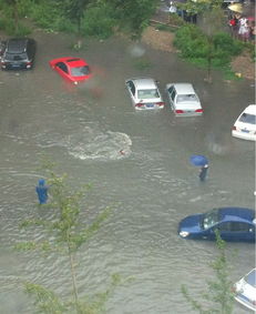 梦到公司遭遇暴雨什么意思,梦见下暴雨把公司淹没了的预兆