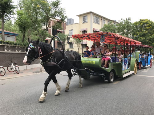 梦到出差坐马车什么意思,梦见坐马车的预兆