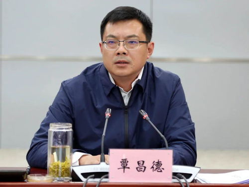 梦到书记县长什么意思呀,我昨晚梦见当县长和书记共商大事