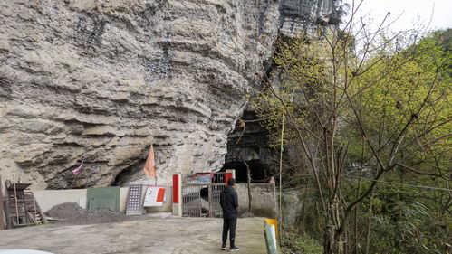 梦到修路建桥什么意思,梦见修桥修路的预兆