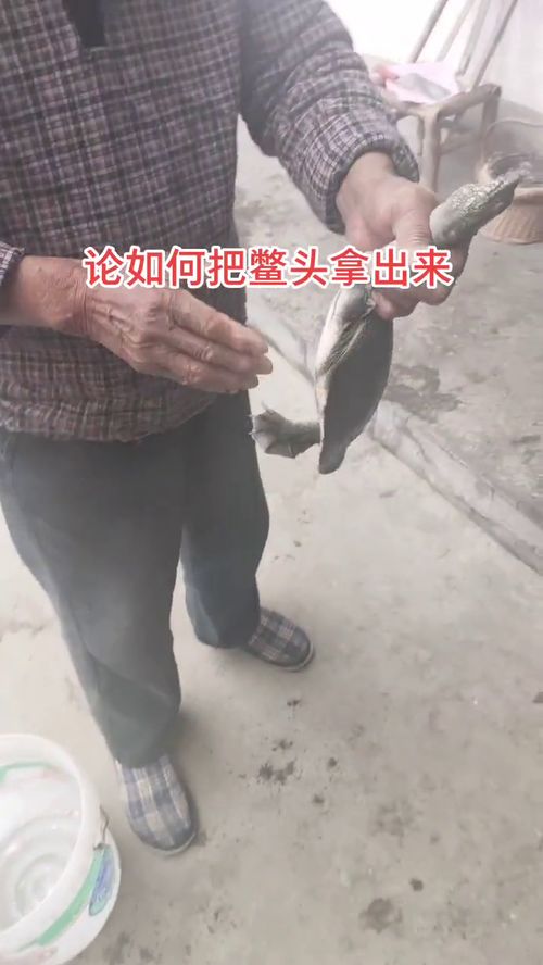 梦到偷拿别人帽子什么意思,梦见偷别人草帽的预兆