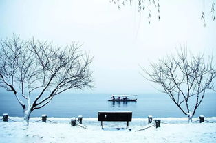 梦到了下雪是什么原因,梦见下雪是什么意思周公解梦