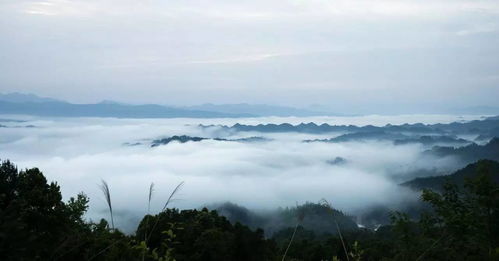 梦到云山雾海什么意思,捷报的意思