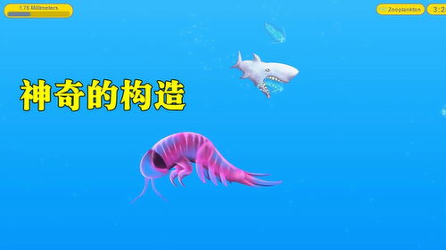 梦到全是海里生物什么意思,梦见海里生物的预兆