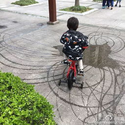 梦到儿子骑车撞人什么意思,梦见孩子撞着别人的预兆