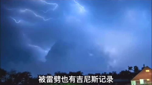 梦到人被雷劈有什么号码,梦见人遭雷劈的预兆