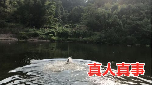 梦到人在河里游泳什么意思,梦见别人在水里游泳是什么意思？