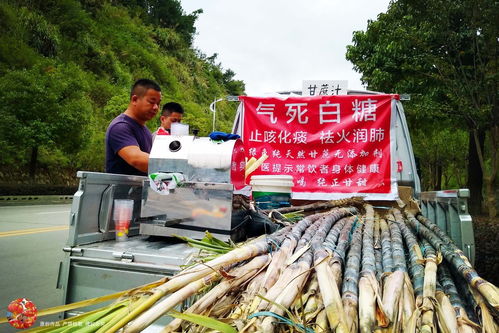 梦到别人卖甘蔗什么意思,梦到别人卖甘蔗我想买没买什么意思？