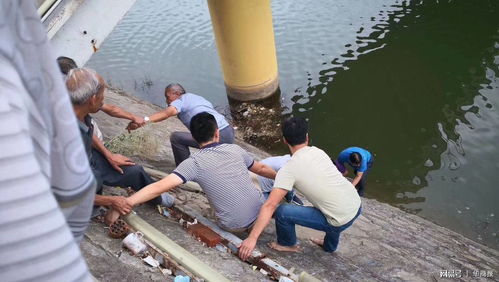 梦到亡夫跳水救人什么意思,梦见跳水救人的预兆